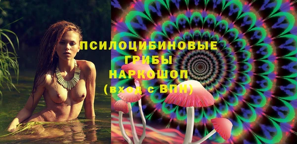 дурь Абаза