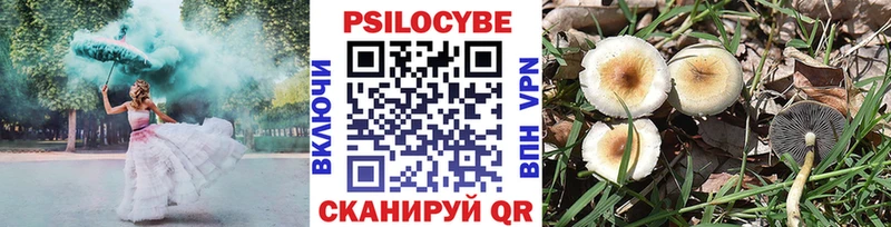 Галлюциногенные грибы Psilocybe  Тетюши 